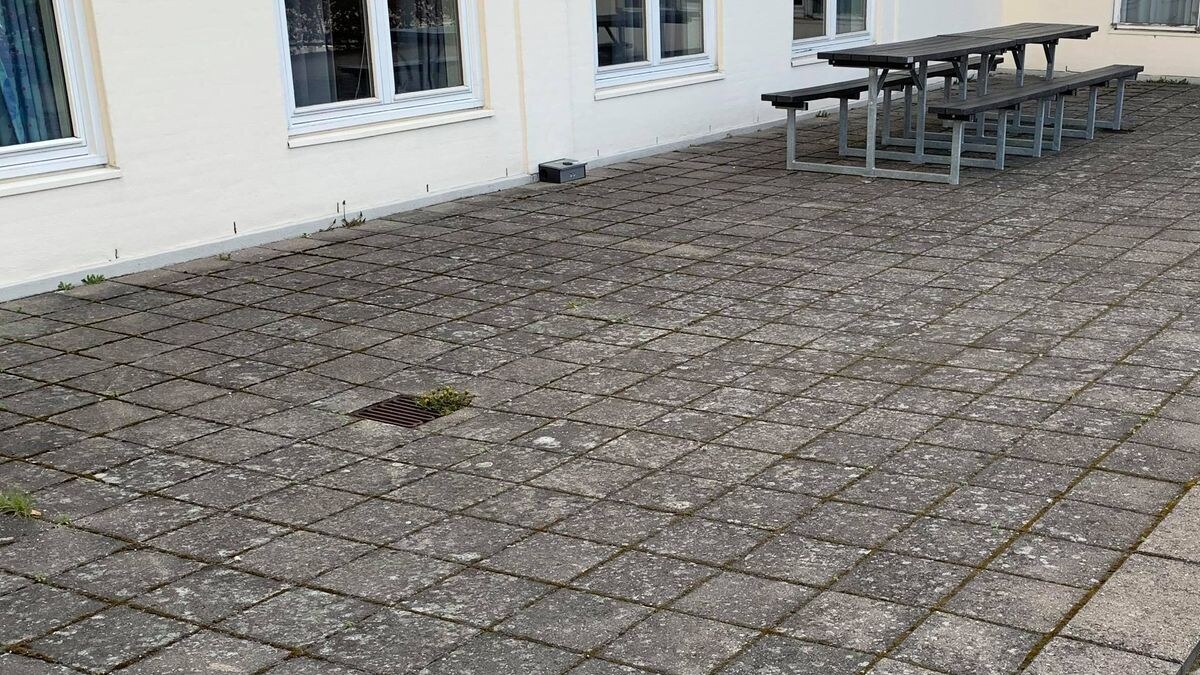 Fliserens før rens