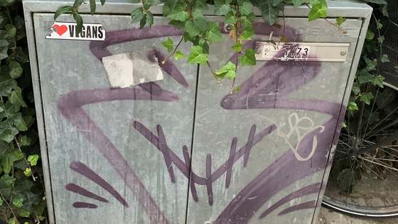 Graffiti f&oslash;r rens