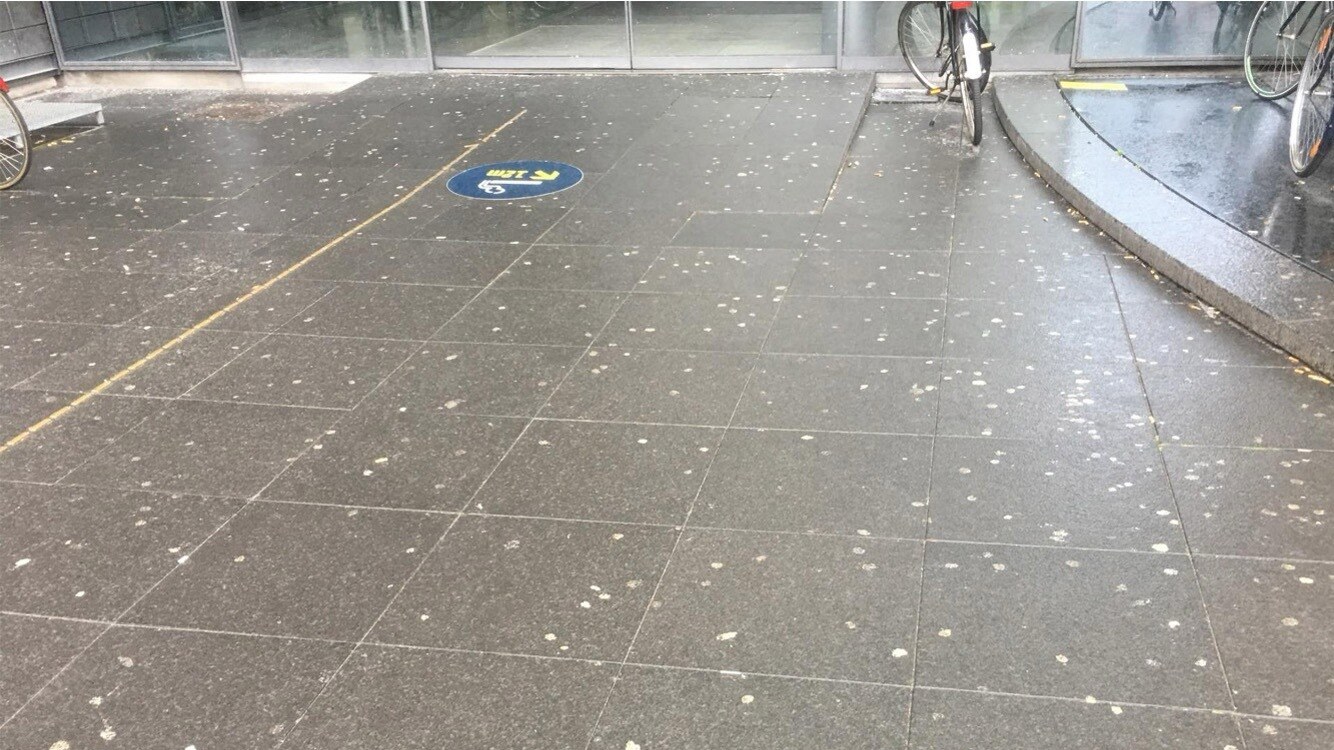 Tyggegummi før rens